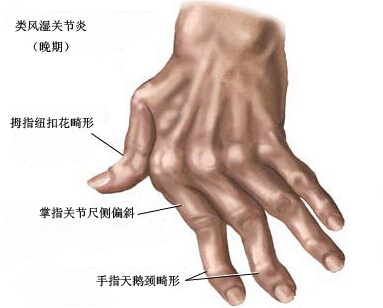 20101224150932966.jpg